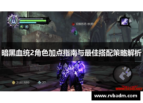 暗黑血统2角色加点指南与最佳搭配策略解析