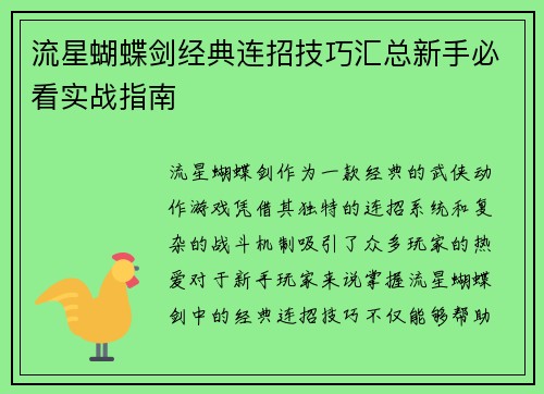流星蝴蝶剑经典连招技巧汇总新手必看实战指南
